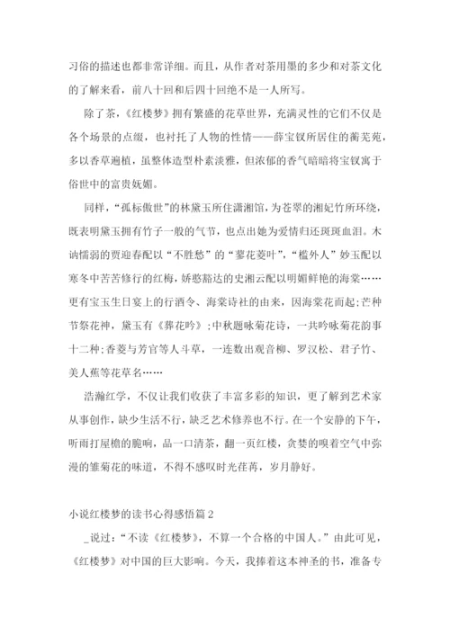 小说红楼梦的读书心得感悟.docx