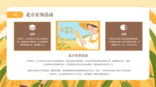 黄色芒种节气介绍通用PPT模板