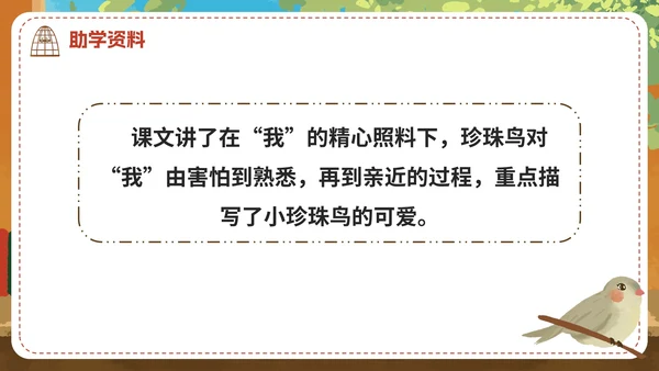 部编版语文五年级上册《珍珠鸟》课件