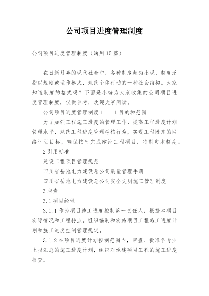 公司项目进度管理制度.docx