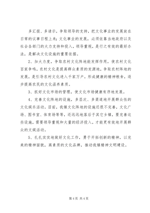 乡镇文化站年度文化事业工作总结.docx