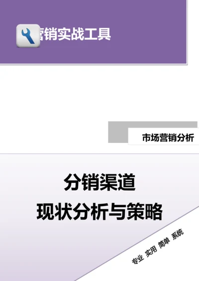 分销渠道现状分析与策略.doc.docx