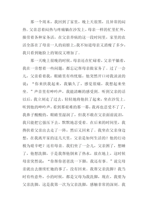有关父亲的文章.docx