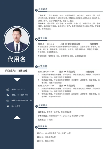 简约大气销售经理个人简历模板word简历模板