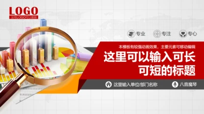 审计局项目研究调查财务分析报告通用PPT模版