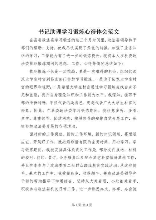 书记助理学习锻炼心得体会范文.docx