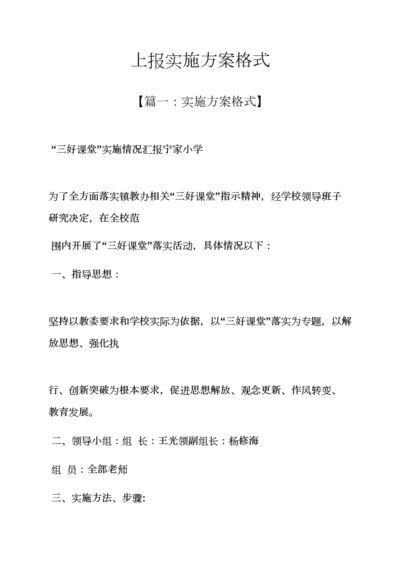 上报实施专项方案的格式.docx