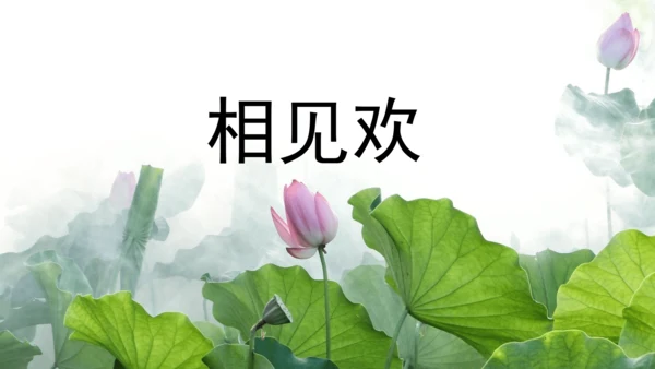 部编版八年级语文上册第6单元《课外古诗词诵读》课件(共45张PPT)