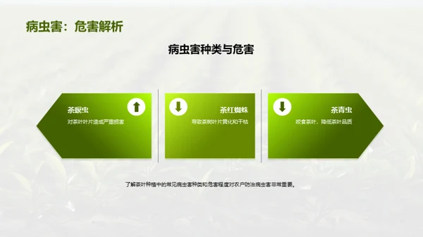茶园病虫害科学防治