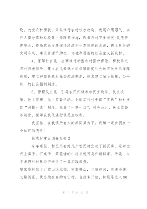 新农村建设调查报告范文.docx