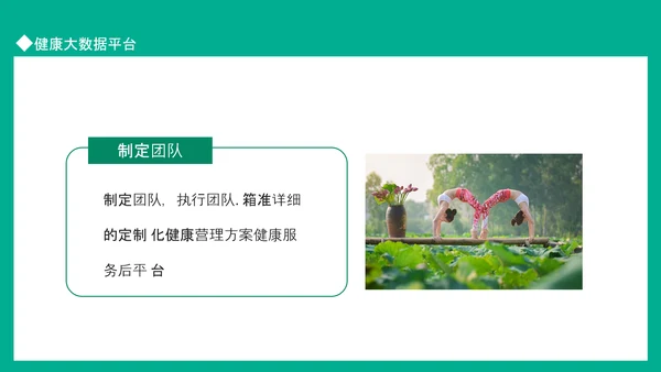 健康大数据平台健康预防重于医学治疗PPT