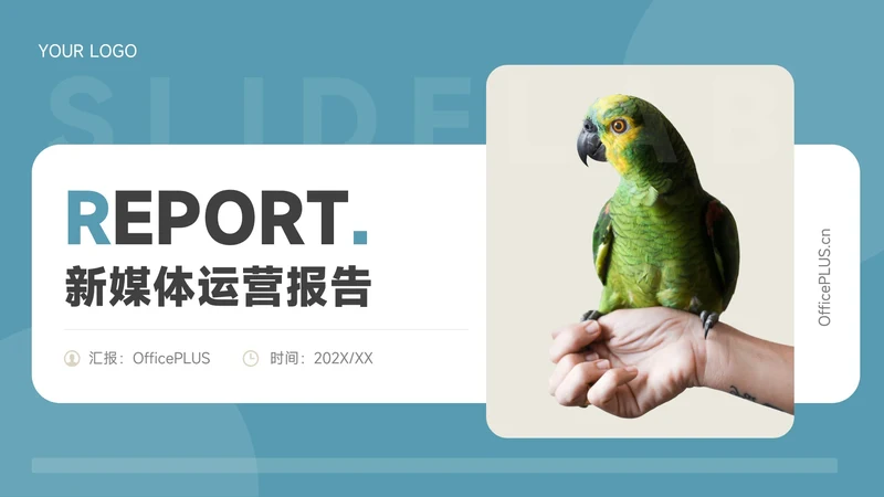 绿色简洁创意新媒体运营报告PPT模板