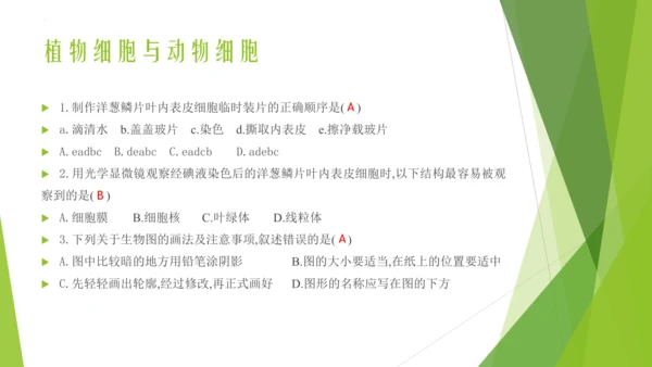 人教版七年级生物上册第一章认识生物第二章认识细胞复习课件(共23张PPT)