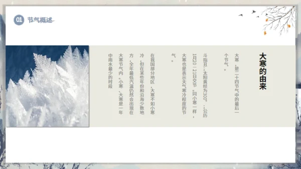 大寒节气山村通用PPT模板