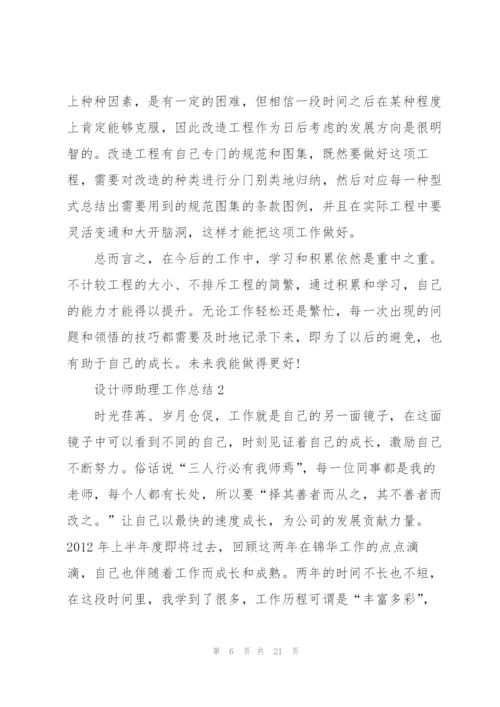 设计师助理工作总结5篇.docx