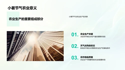 小暑农业讲座PPT模板