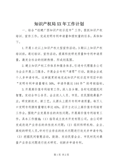 知识产权局XX年工作计划.docx