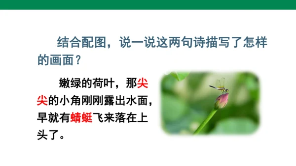 11古诗二首 小池  课件