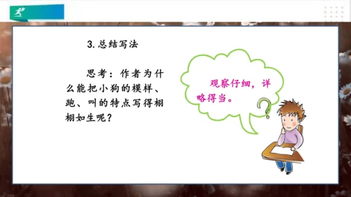 部编版语文三年级上册：第五单元习作例文我家的小狗vs我爱故乡的杨梅   课件（共22张PPT）