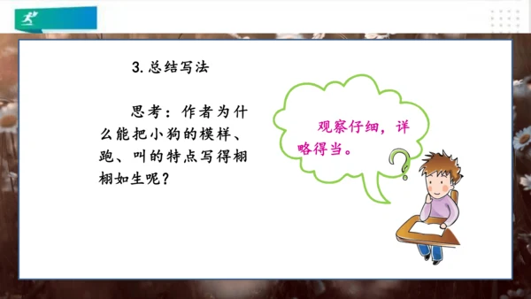 部编版语文三年级上册：第五单元习作例文我家的小狗vs我爱故乡的杨梅   课件（共22张PPT）