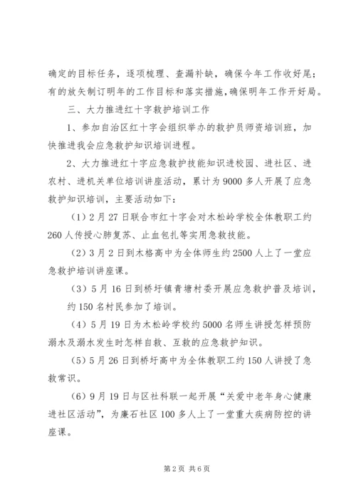 红十字会XX年工作总结XX年计划.docx