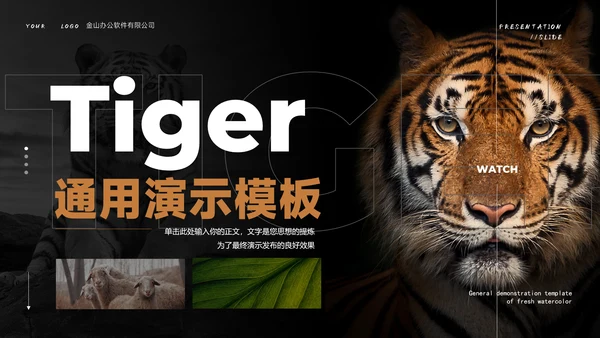 Tiger老虎通用PPT演示模板