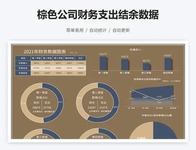 棕色公司财务支出结余数据