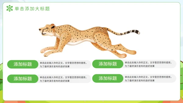 猎豹动物知识普及通用PPT模板