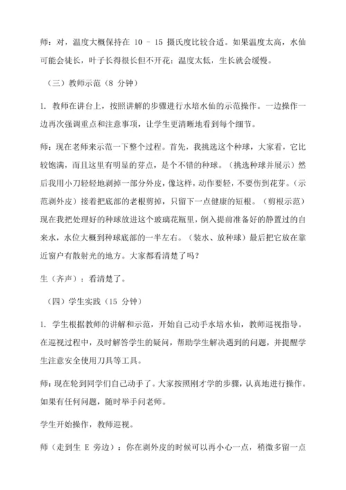 水培水仙 教学设计--人教版劳动四上