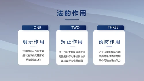 蓝色大气法律律法宣传讲座PPT