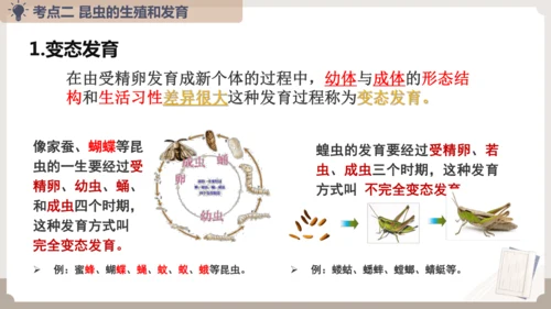 复习专题五生物的生殖和发育（串讲课件）-八年级生物上学期期末考点大串讲（人教版）(共20张PPT)