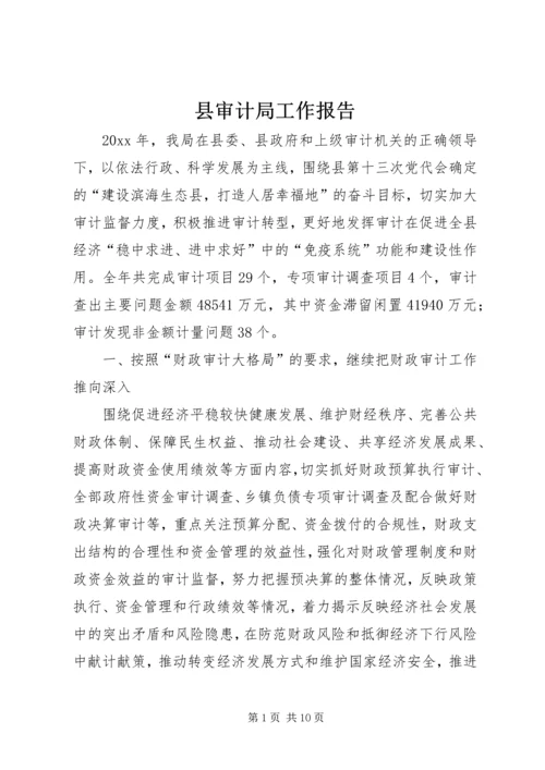 县审计局工作报告 (3).docx