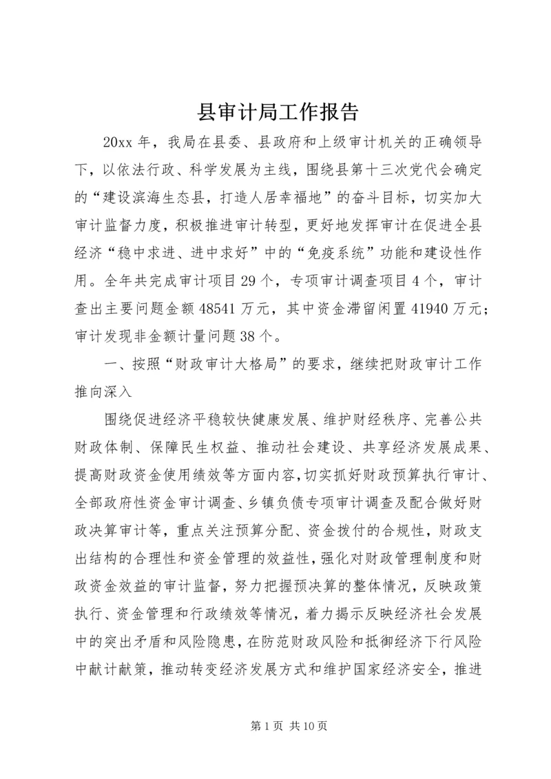 县审计局工作报告 (3).docx