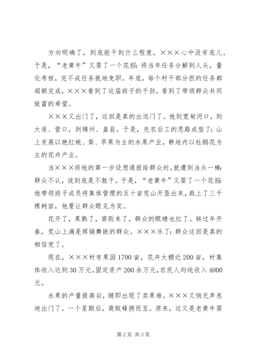 村党支部书记先进事迹材料 (10).docx