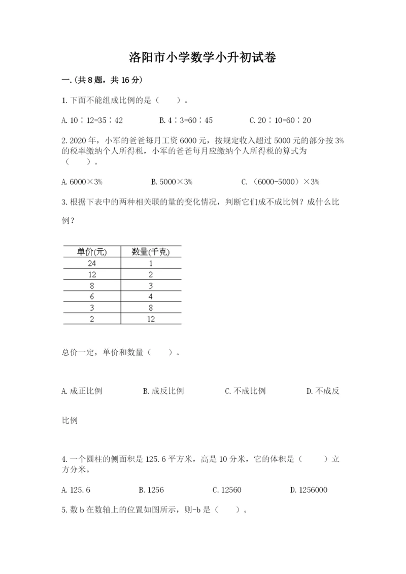 洛阳市小学数学小升初试卷（轻巧夺冠）.docx