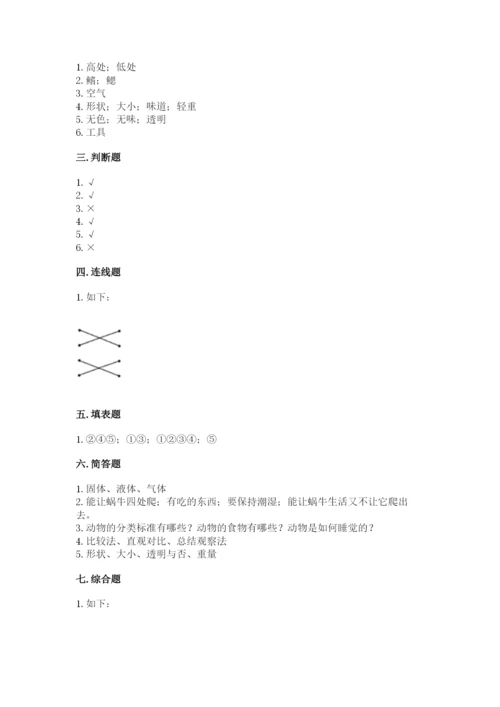 教科版一年级下册科学期末测试卷附答案（考试直接用）.docx