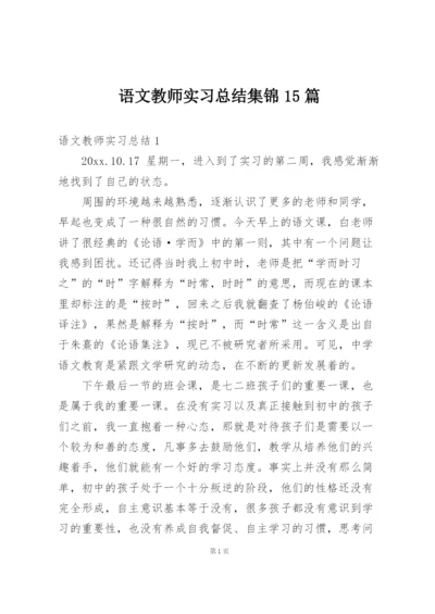 语文教师实习总结集锦15篇.docx