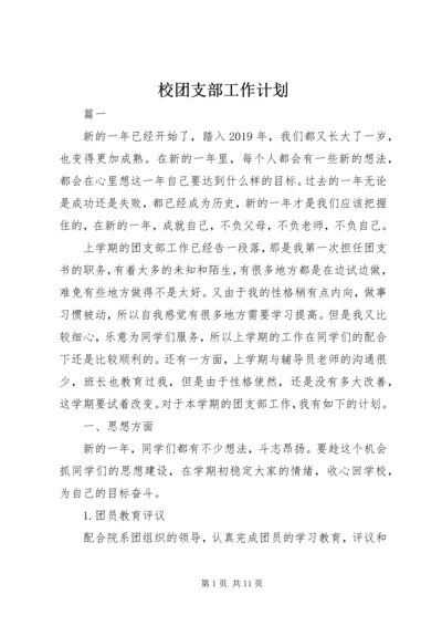 校团支部工作计划.docx