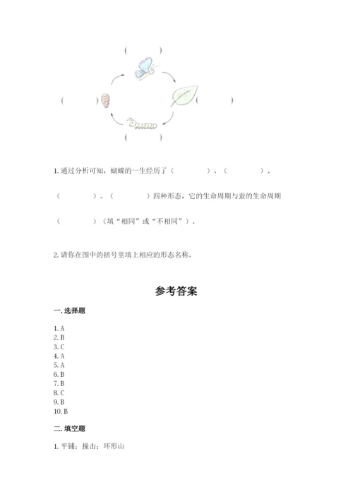 教科版科学三年级下册期末测试卷（模拟题）.docx