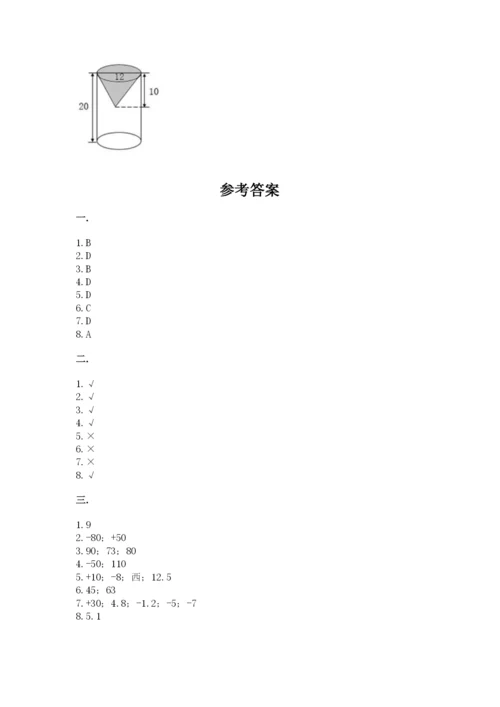 北京版数学小升初模拟试卷【典优】.docx
