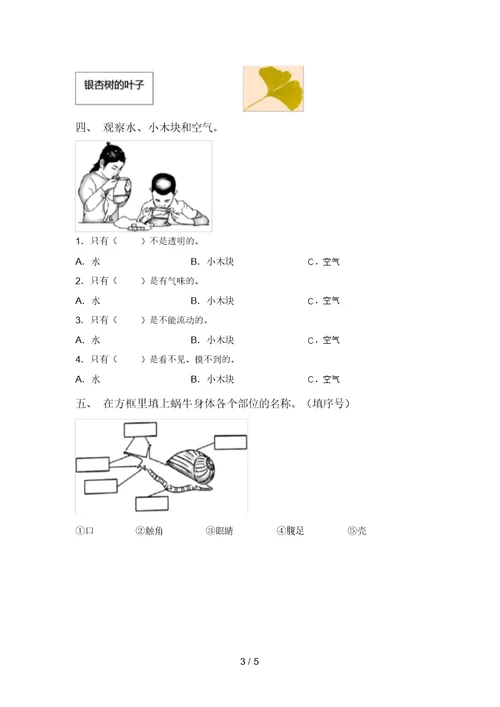 苏教版一年级科学(上册)期中复习卷及答案