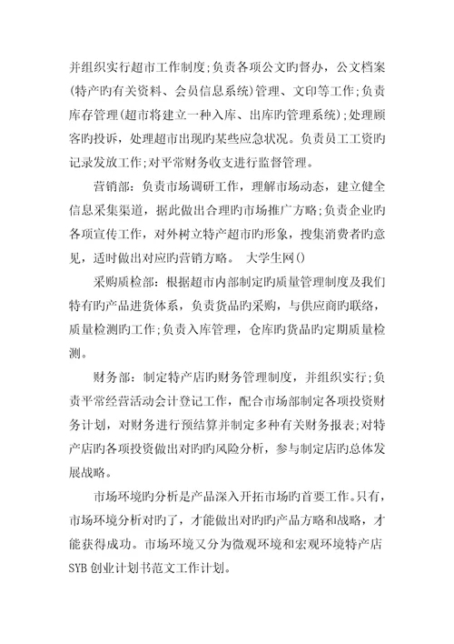 Syb创业企划书案例