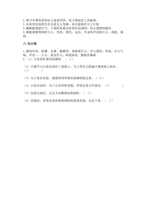 苏教版一年级上册科学期末测试卷完美版.docx