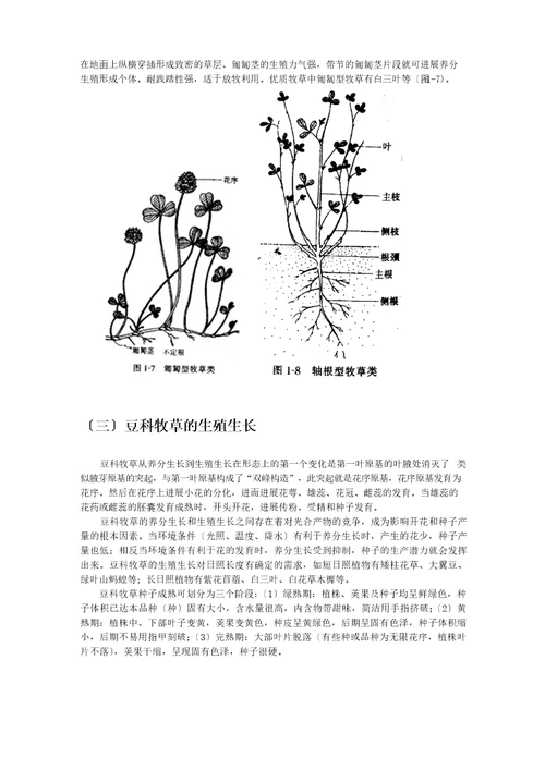 优质牧草高产栽培与利用牧草的生物学特性第一节牧草的生长发育