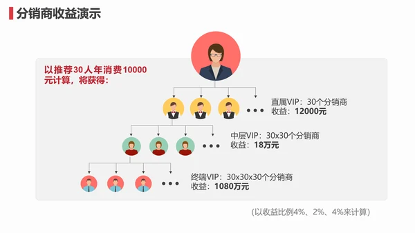 O2O社交电商招商宣传业务介绍PPT模板