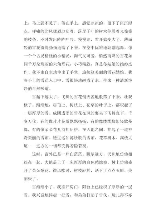 美丽的雪景作文800字.docx