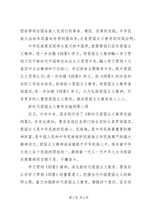 学习新时代爱国主义教育实施纲要党员心得3篇.docx