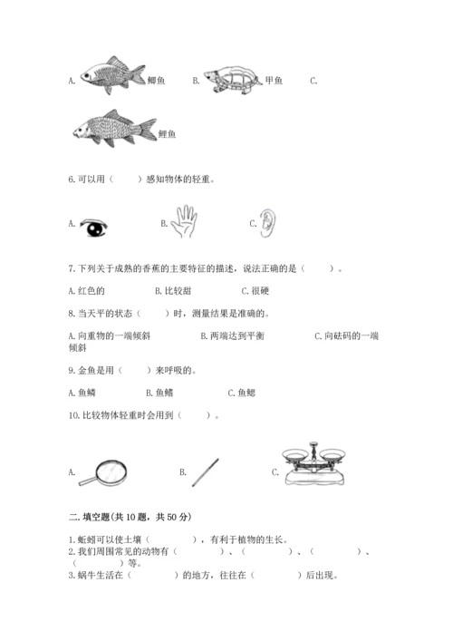 教科版一年级下册科学期末测试卷【考试直接用】.docx