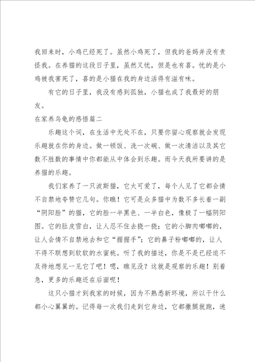疫情在家隔离不添乱的感悟范文范例四篇