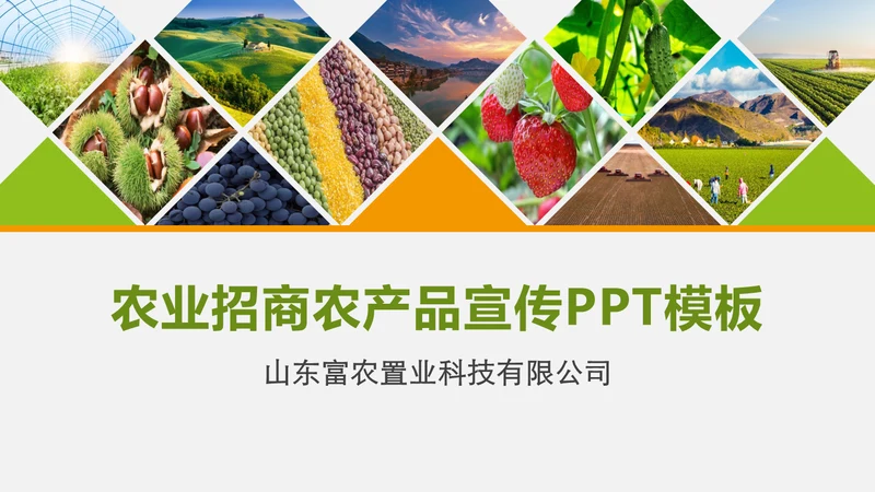 水果蔬菜农业招商农产品宣传通用PPT模板